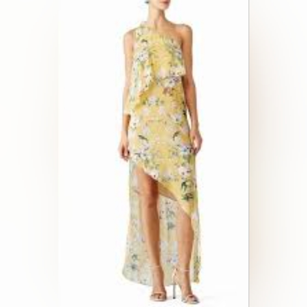Slate & Willow chiffon layered maxi dress.  DESIGNER. MSRP $250 - Picture 2 of 7